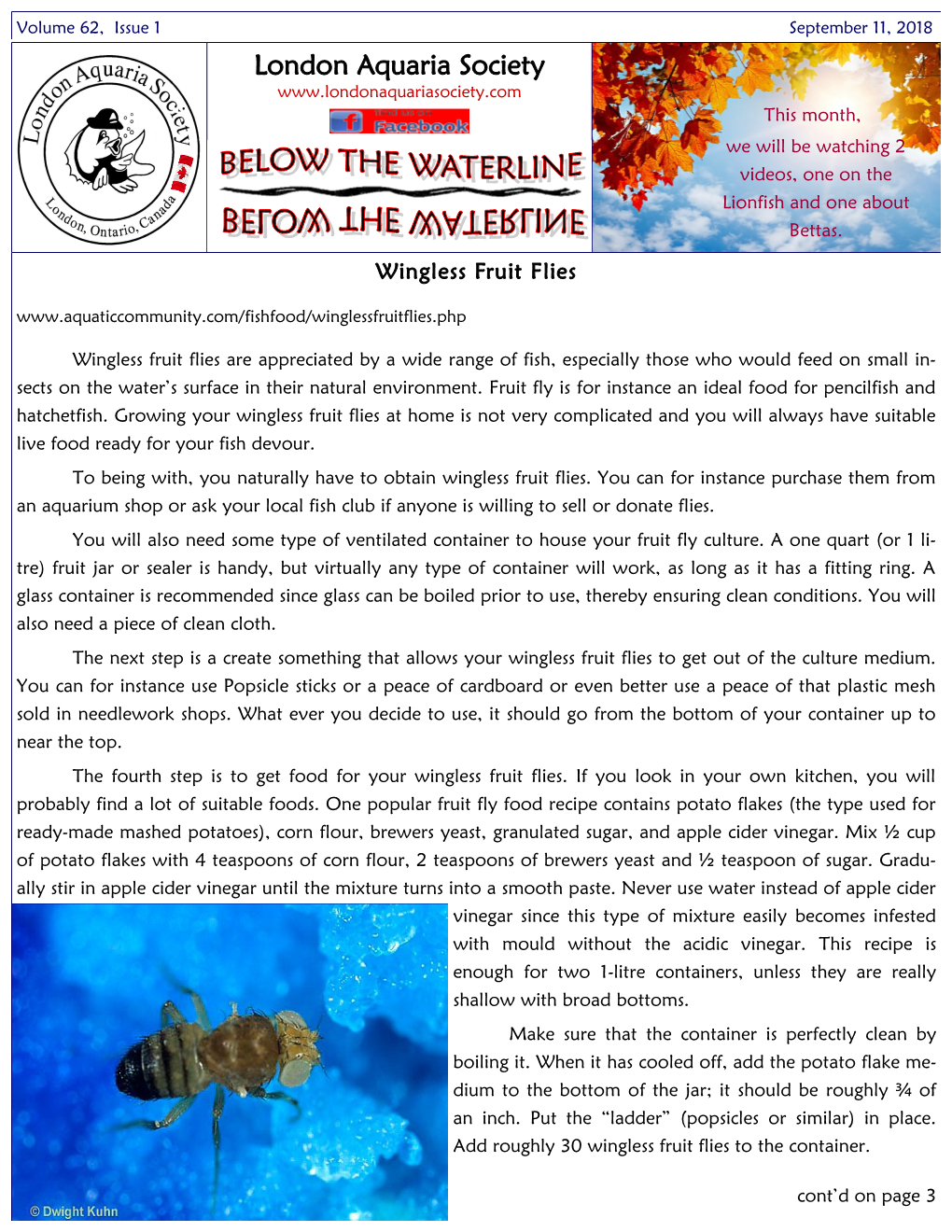 September 11, 2018 London Aquaria Society This Month, We Will Be Watching 2 Videos, One on the Lionfish and One About Bettas