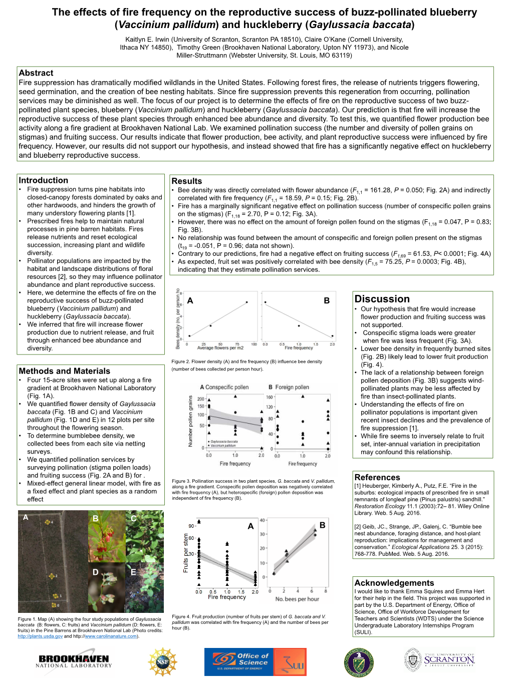 The Effects of Fire Frequency on the Reproductive Success of Buzz-Pollinated Blueberry (Vaccinium Pallidum) and Huckleberry (Gaylussacia Baccata) Kaitlyn E