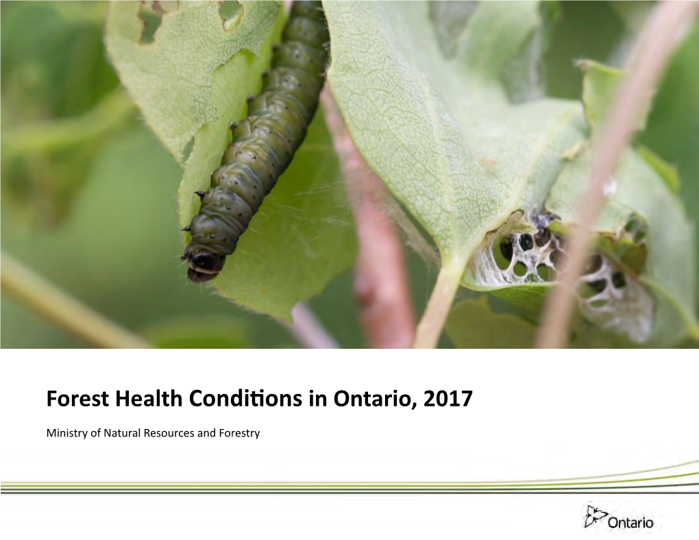 Forest Health Conditions in Ontario, 2017