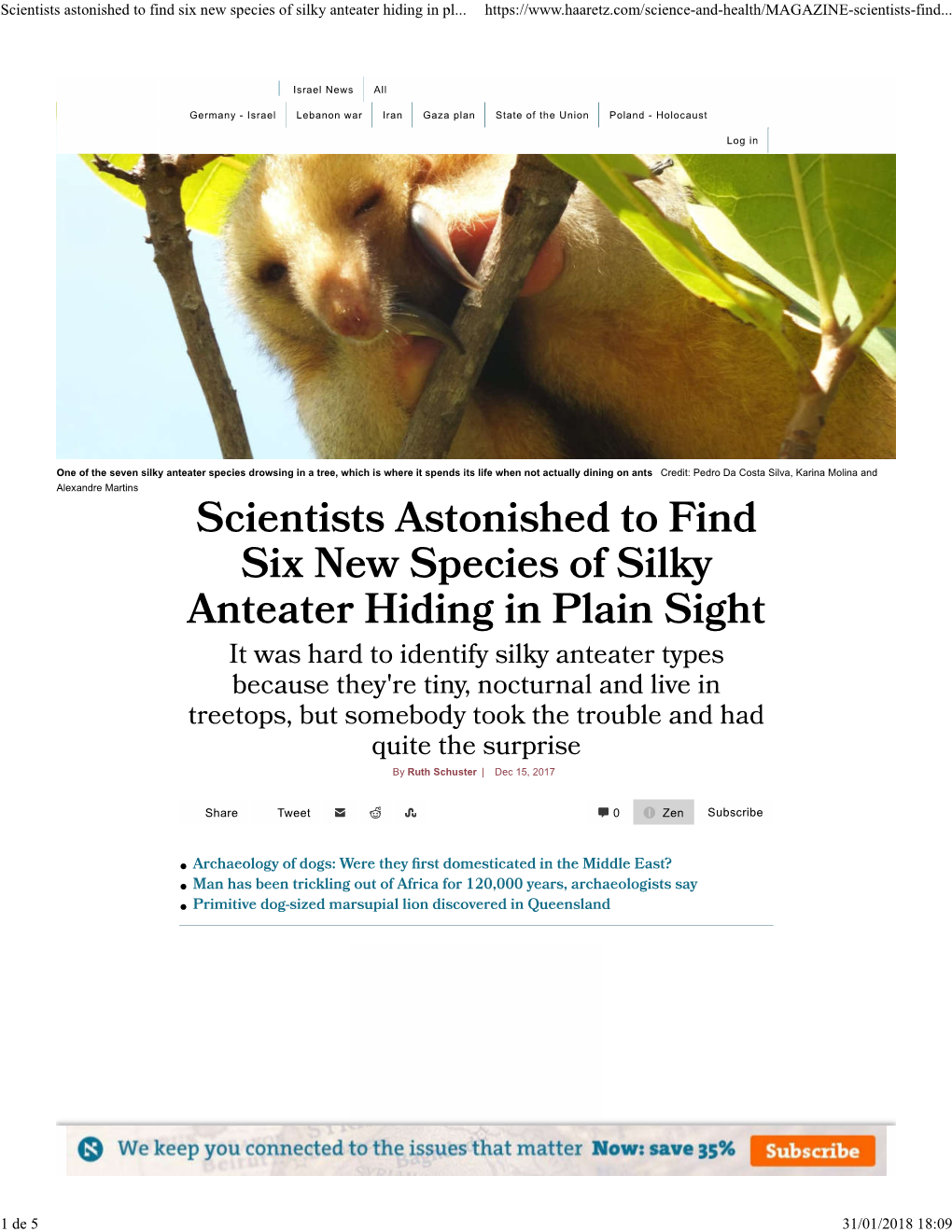 Scientists Astonished to Find Six New Species of Silky Anteater Hiding in Pl