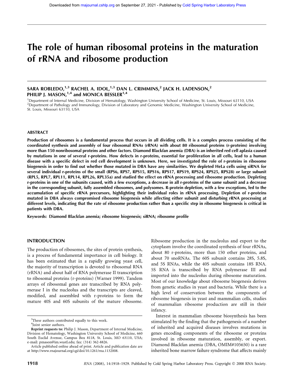 The Role of Human Ribosomal Proteins in the Maturation of Rrna and Ribosome Production