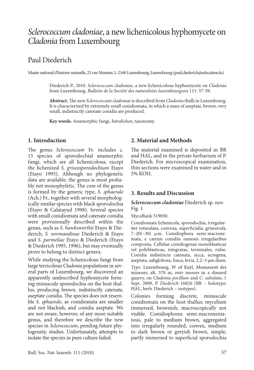 Sclerococcum Cladoniae, a New Lichenicolous Hyphomycete on Cladonia from Luxembourg