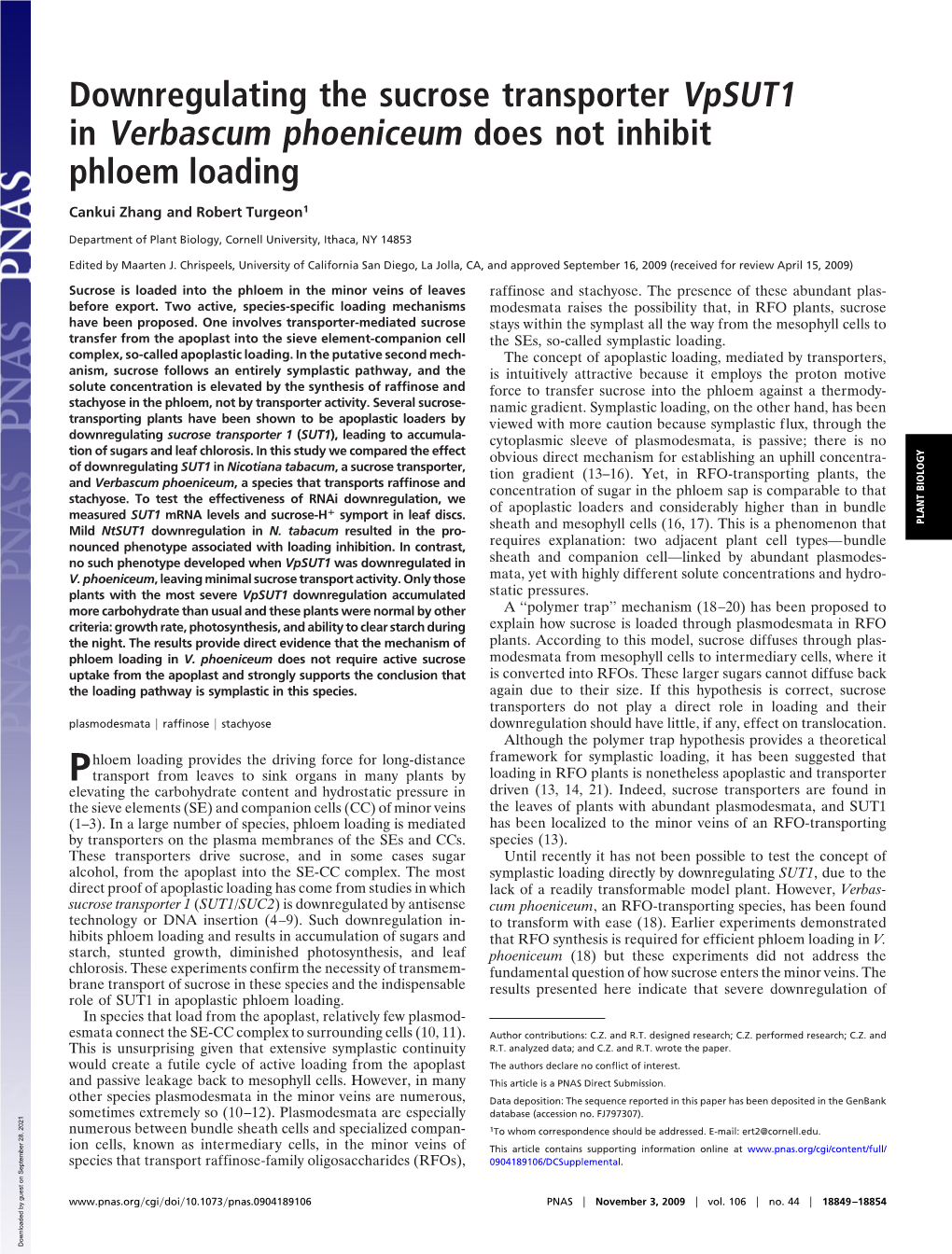 Downregulating the Sucrose Transporter Vpsut1 in Verbascum Phoeniceum Does Not Inhibit Phloem Loading