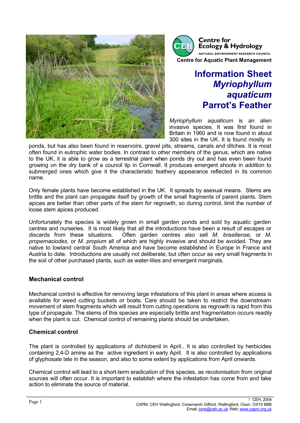 Information Sheet Myriophyllum Aquaticum Parrot's Feather