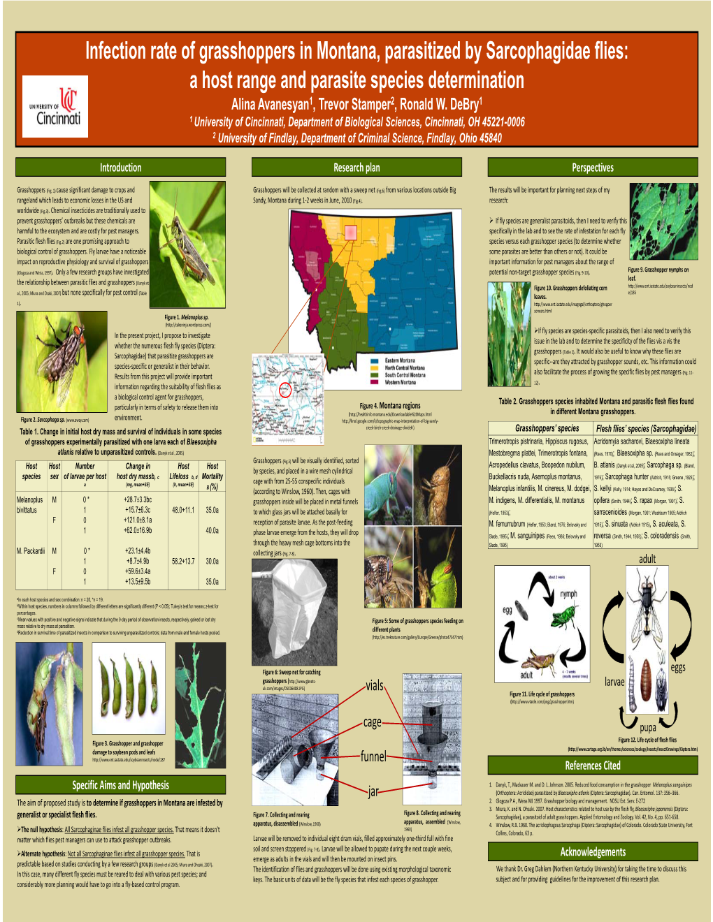 Infection Rate of Grasshoppers in Montana, Parasitized by Sarcophagidae Flies