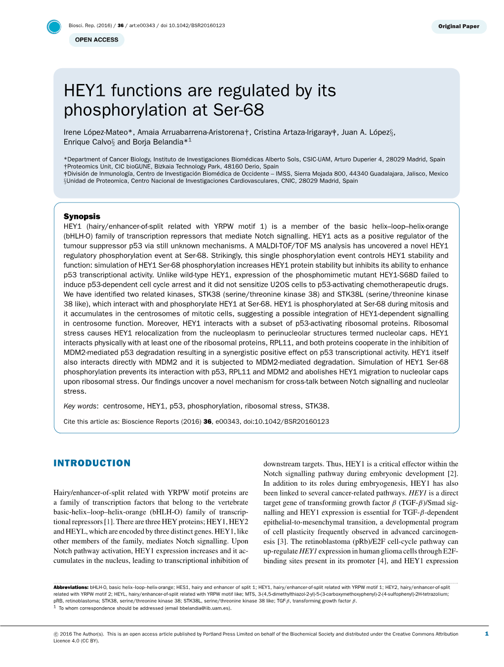 HEY1 Functions Are Regulated by Its Phosphorylation at Ser-68