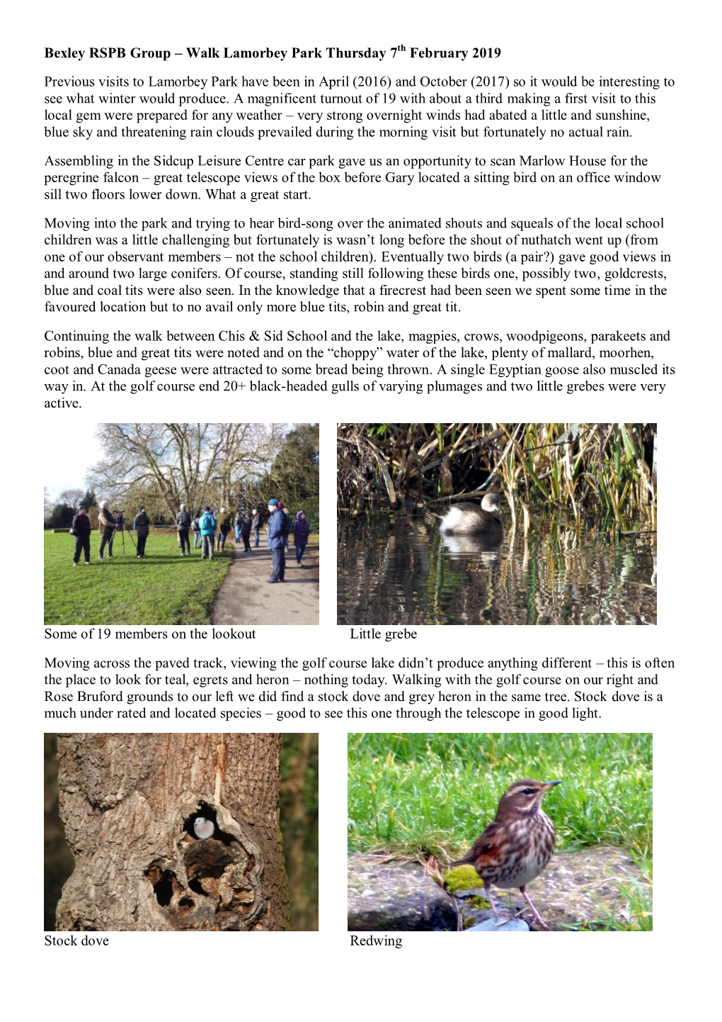 Bexley RSPB Group – Walk Lamorbey Park Thursday 7 February 2019