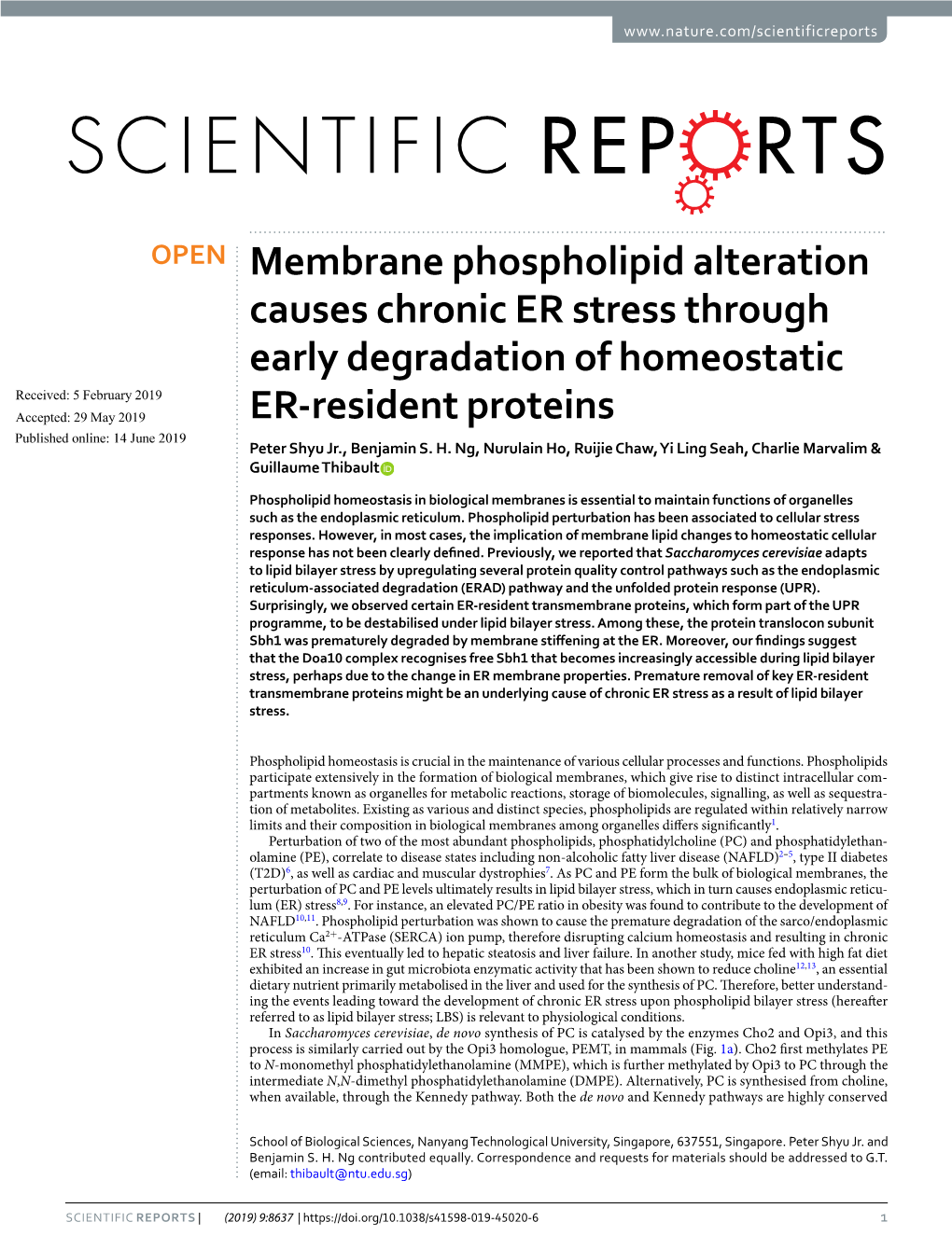 Membrane Phospholipid Alteration Causes Chronic ER Stress Through