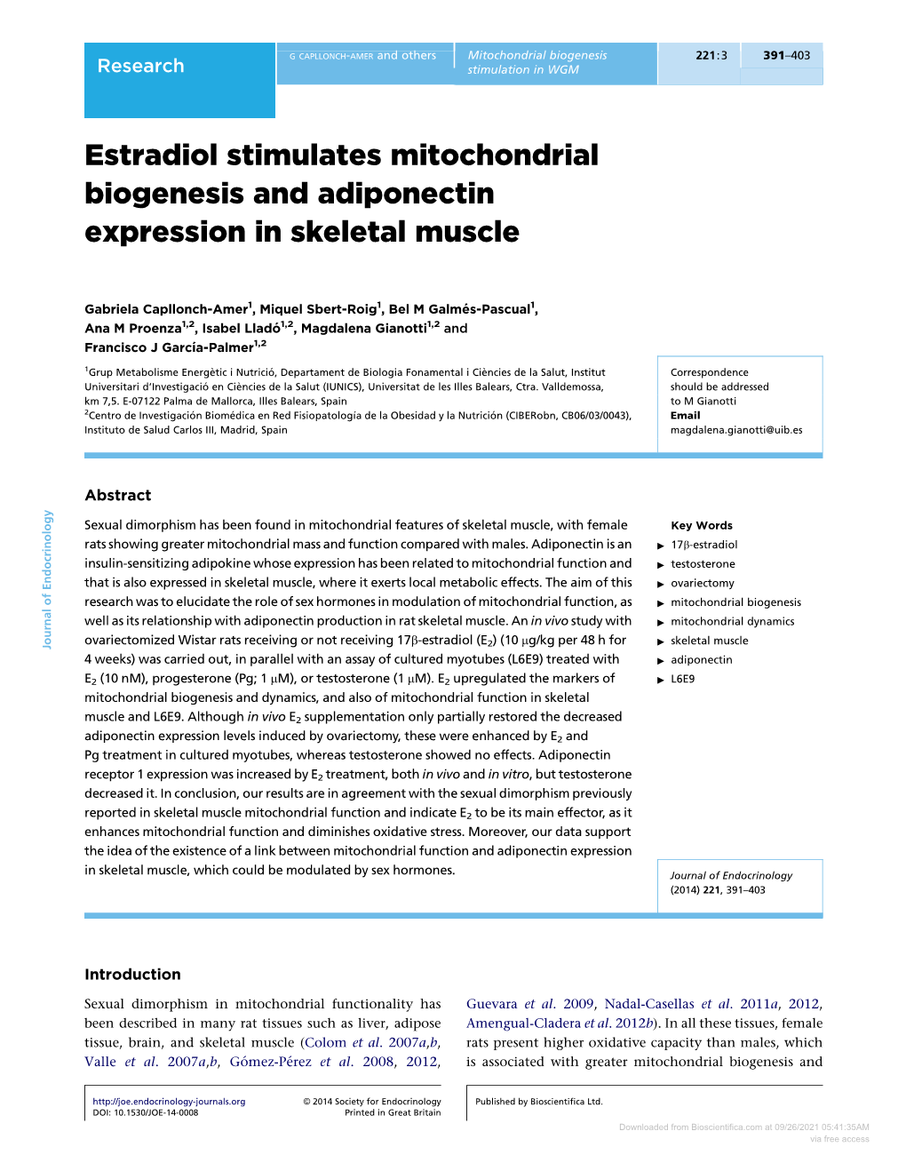 Estradiol Stimulates Mitochondrial Biogenesis and Adiponectin Expression in Skeletal Muscle