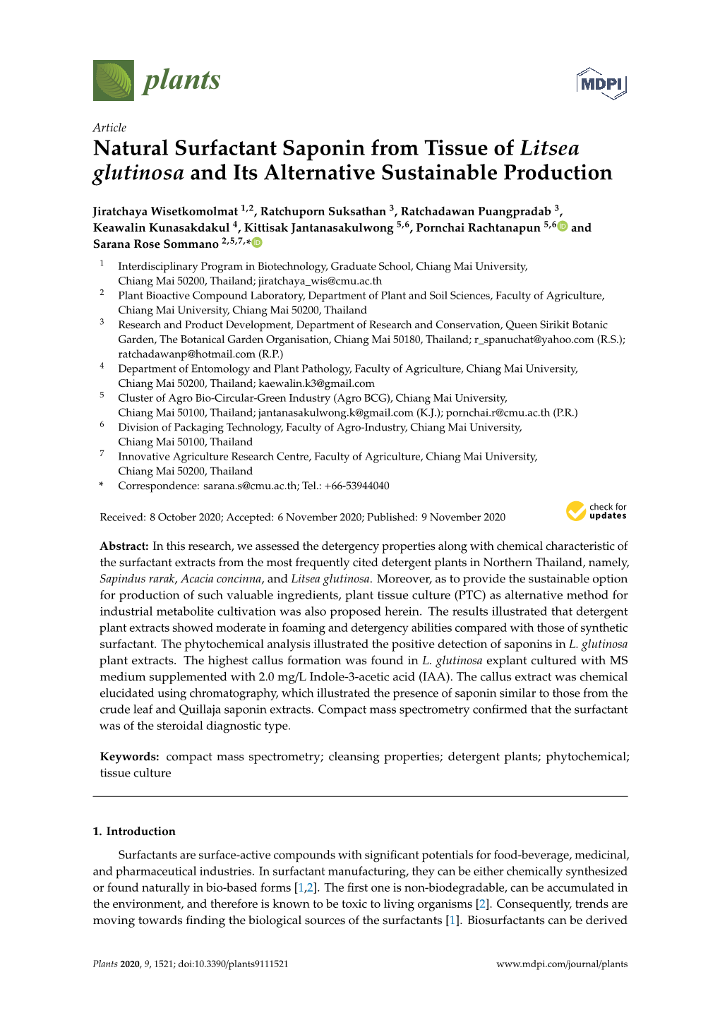 Natural Surfactant Saponin from Tissue of Litsea Glutinosa and Its Alternative Sustainable Production