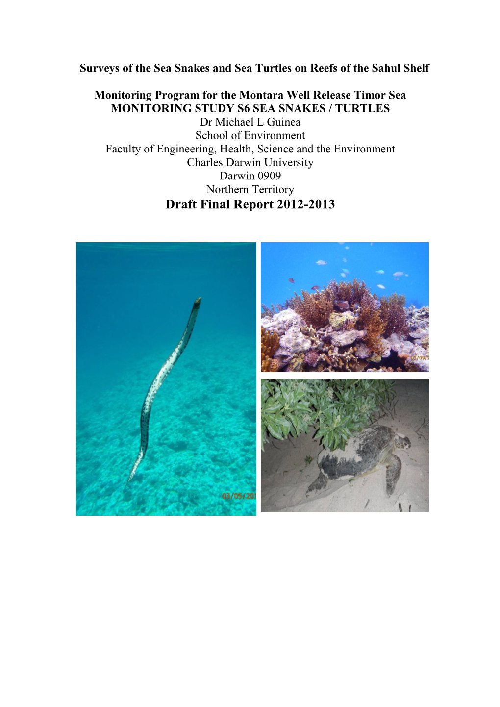 Surveys of the Sea Snakes and Sea Turtles on Reefs of the Sahul Shelf