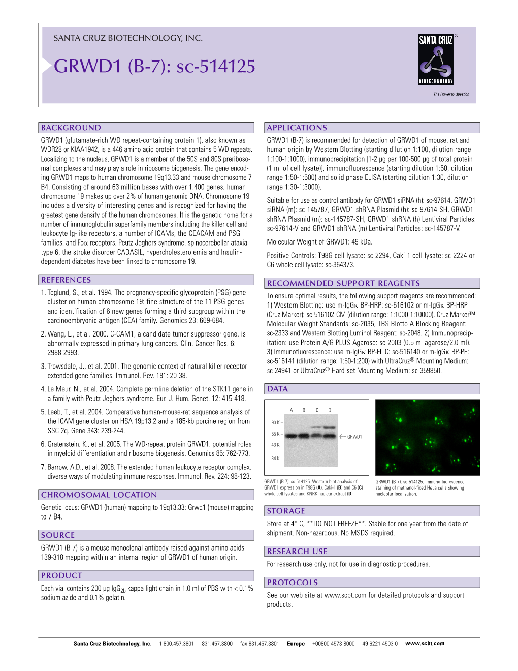 Datasheet Blank Template