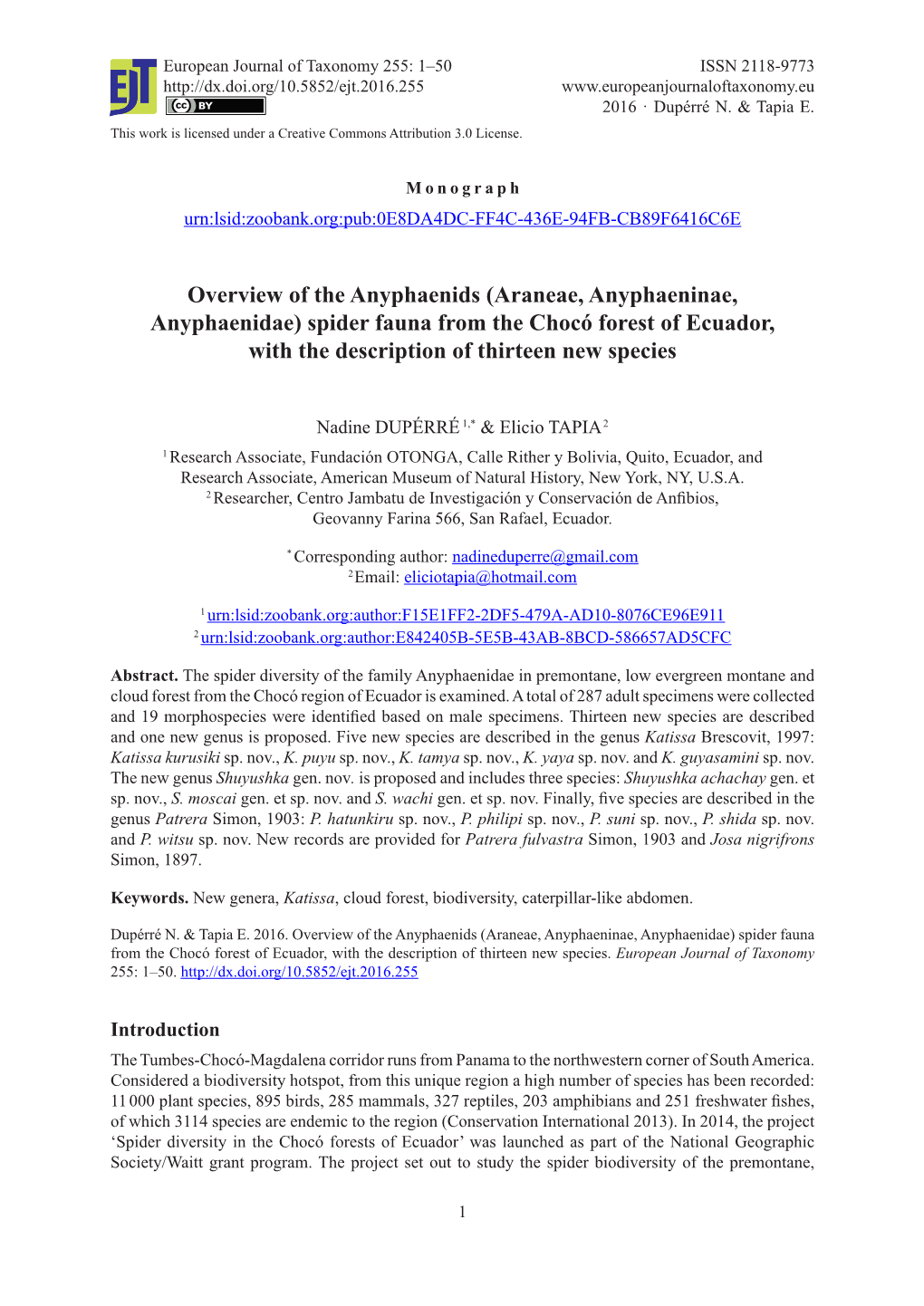 Overview of the Anyphaenids (Araneae, Anyphaeninae, Anyphaenidae) Spider Fauna from the Chocó Forest of Ecuador, with the Description of Thirteen New Species