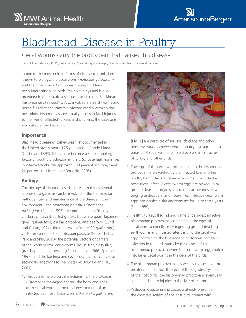 Blackhead Disease in Poultry Cecal Worms Carry the Protozoan That Causes This Disease