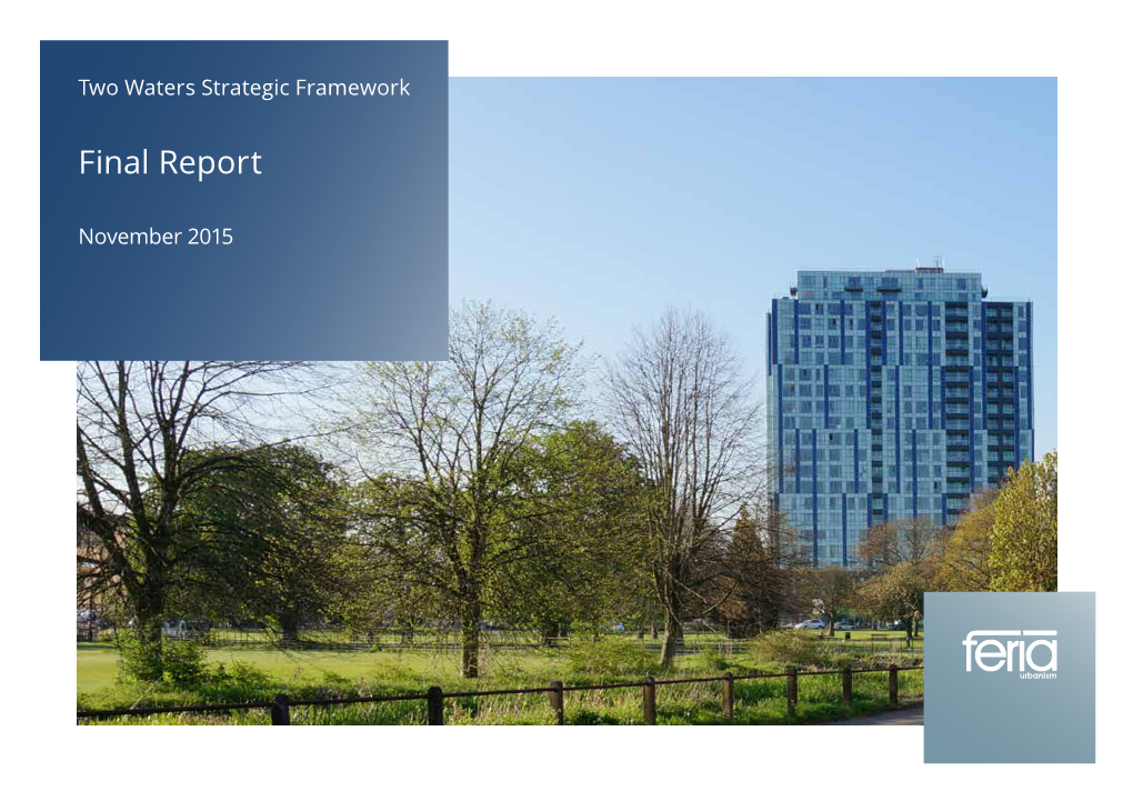 Two Waters Strategic Framework Final Report