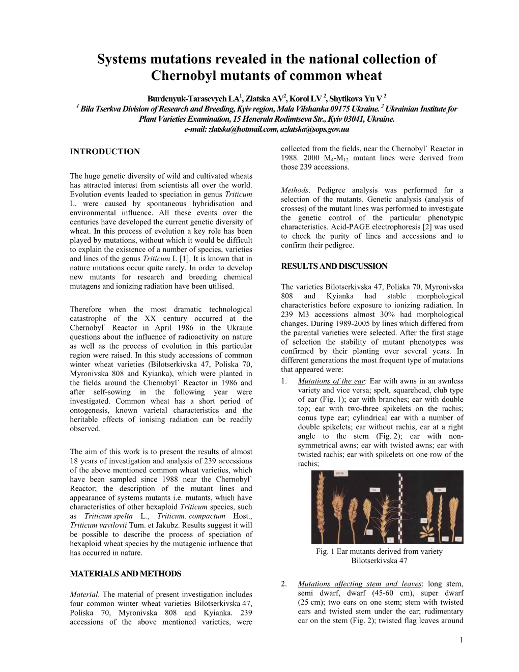 Systems Mutations Revealed in the National Collection of Chernobyl Mutants of Common Wheat