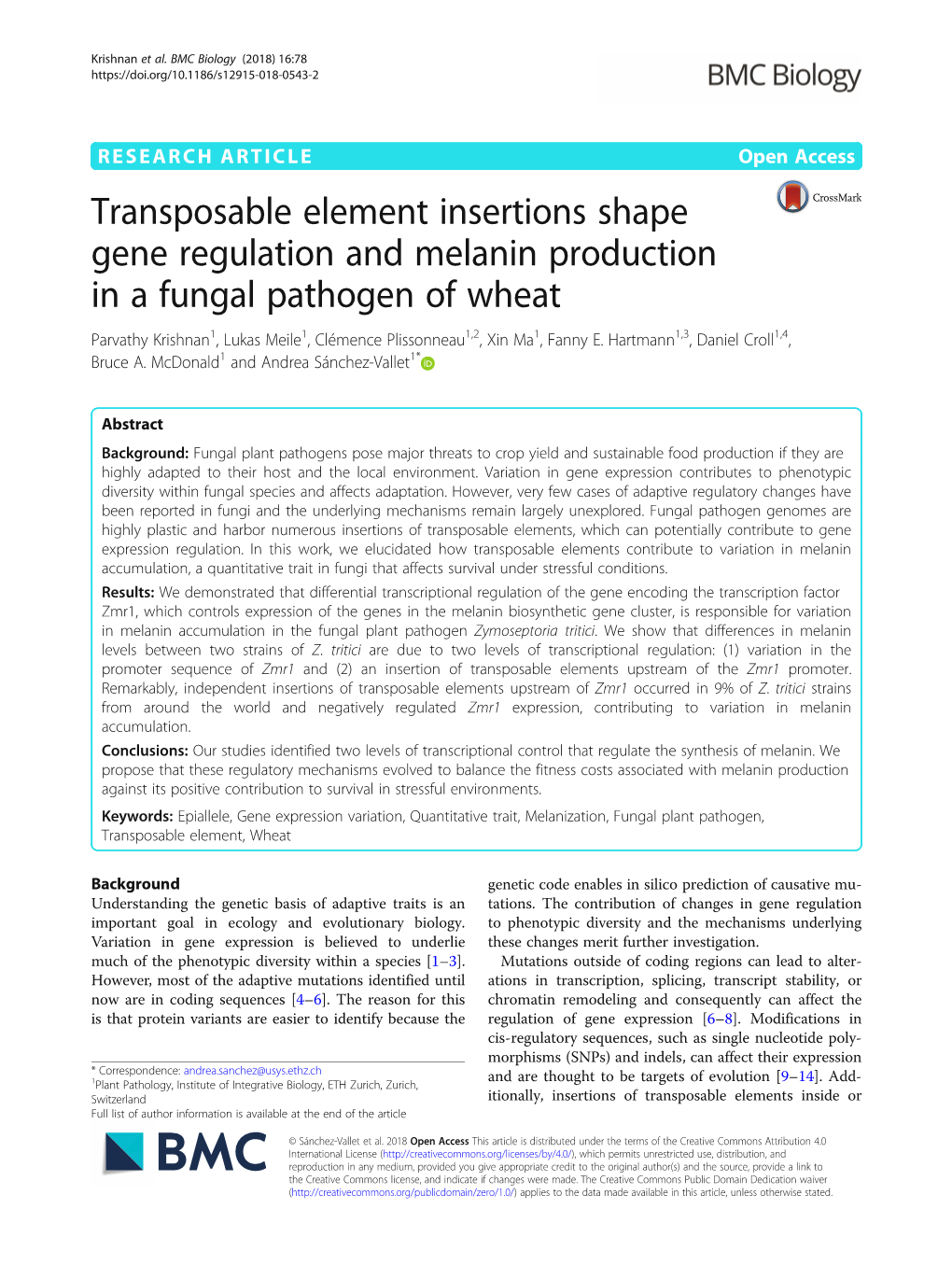 Transposable Element Insertions Shape Gene Regulation and Melanin