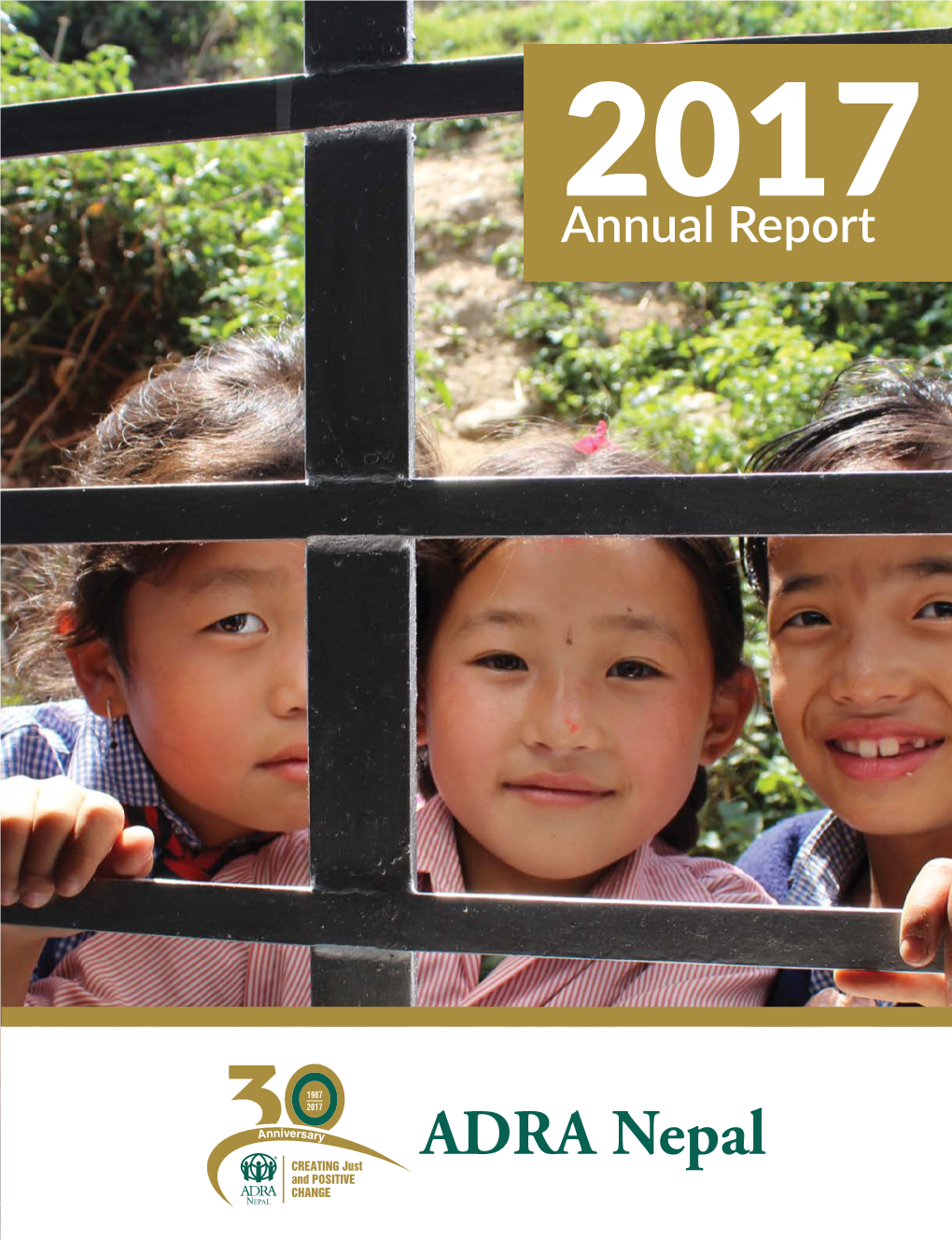 Annual Report 2017