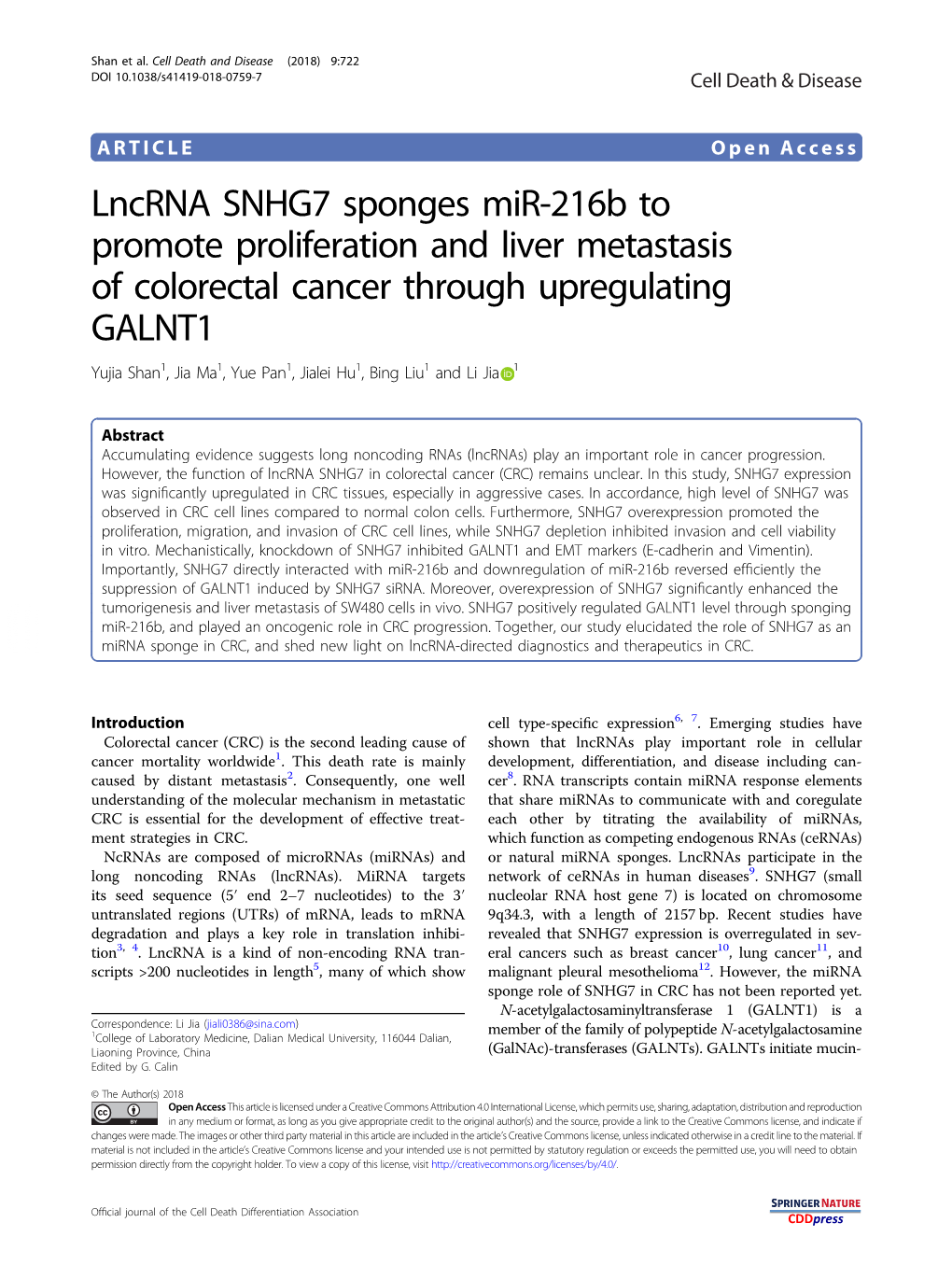 Lncrna SNHG7 Sponges Mir-216B to Promote Proliferation and Liver