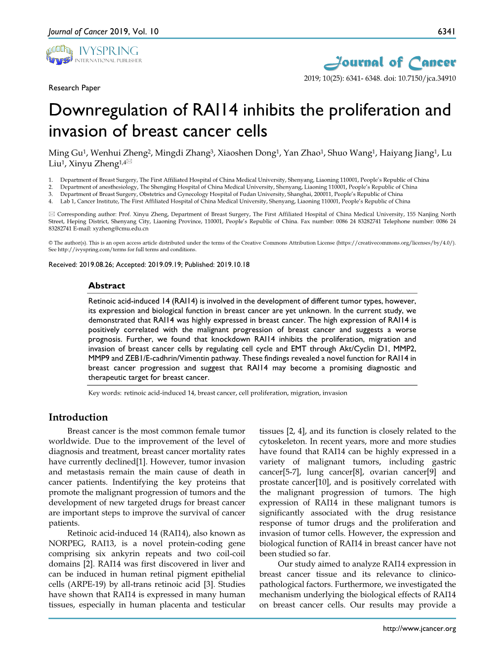 Downregulation of RAI14 Inhibits the Proliferation