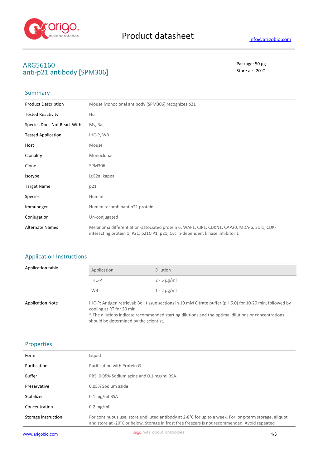 Anti-P21 Antibody [SPM306] (ARG56160)