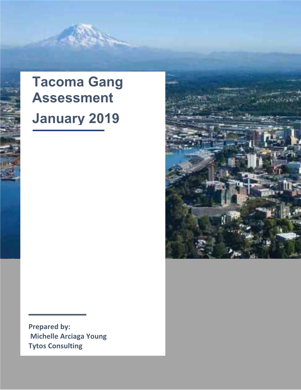 Tacoma Gang Assessment January 2019