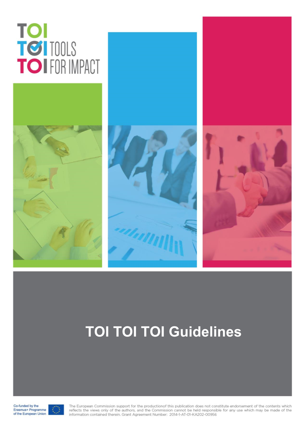 TOI TOI TOI Guidelines