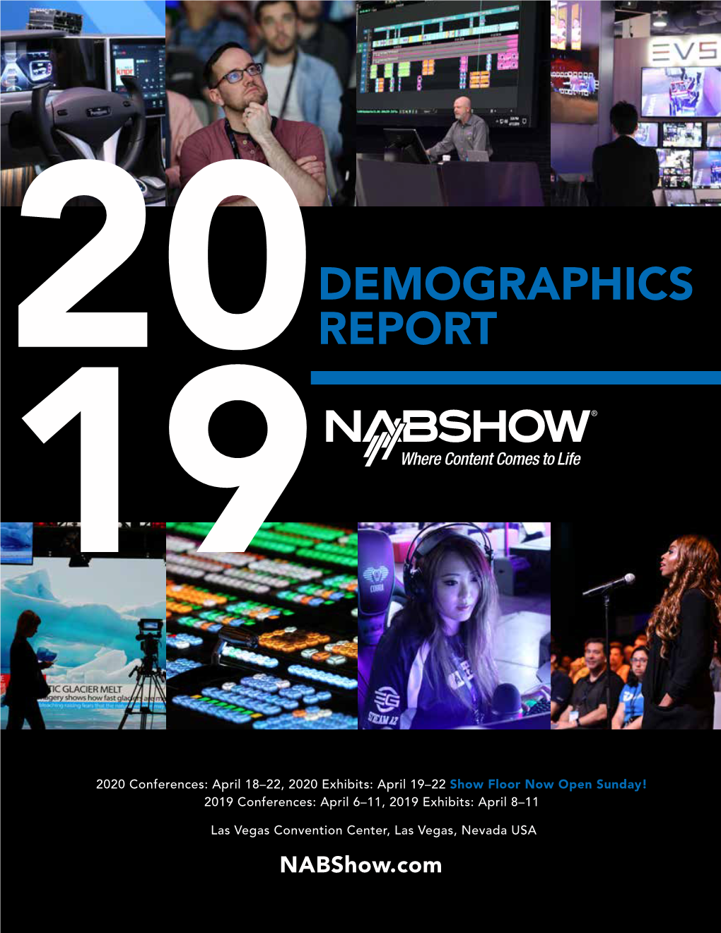 Attendee Demographics