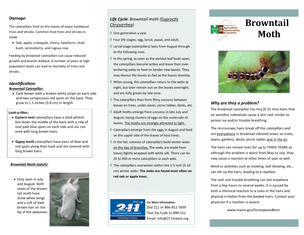 Browntail Moth Brochure