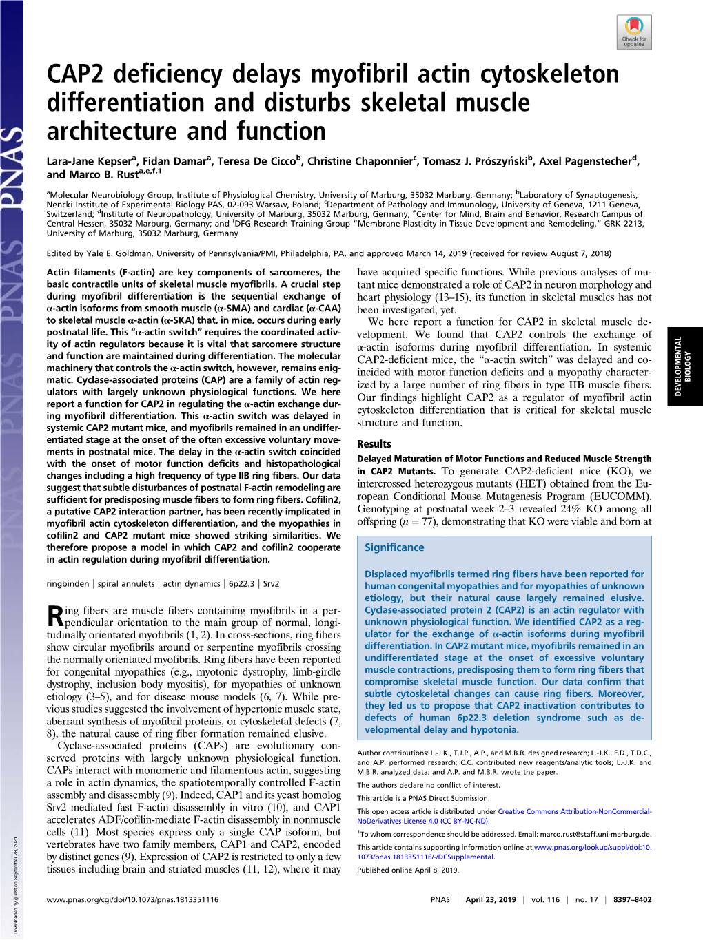 CAP2 Deficiency Delays Myofibril Actin Cytoskeleton Differentiation and Disturbs Skeletal Muscle Architecture and Function