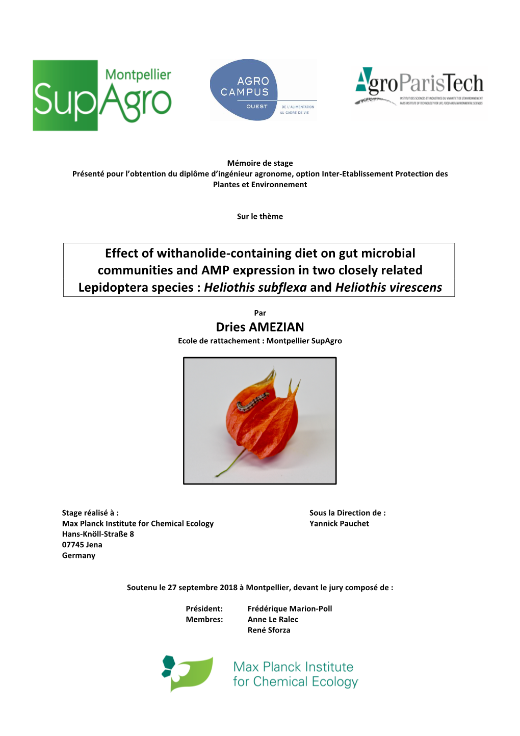 Effect of Withanolide-Containing Diet on Gut Microbial Communities and AMP Expression in Two Closely Related Lepidoptera Speci