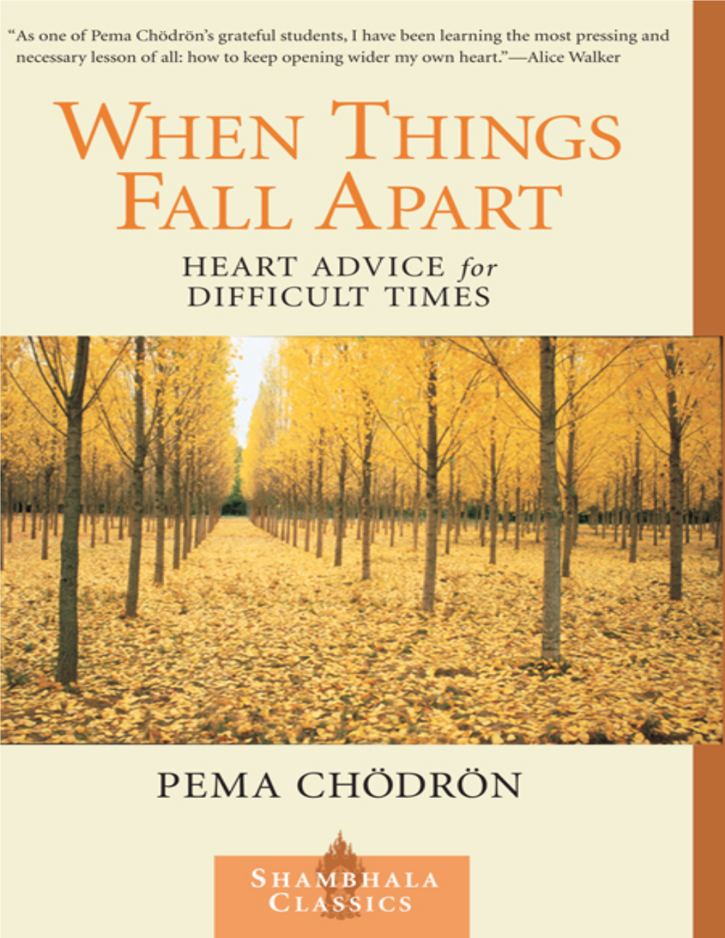 When Things Fall Apart: Heart Advice for Difficult Time
