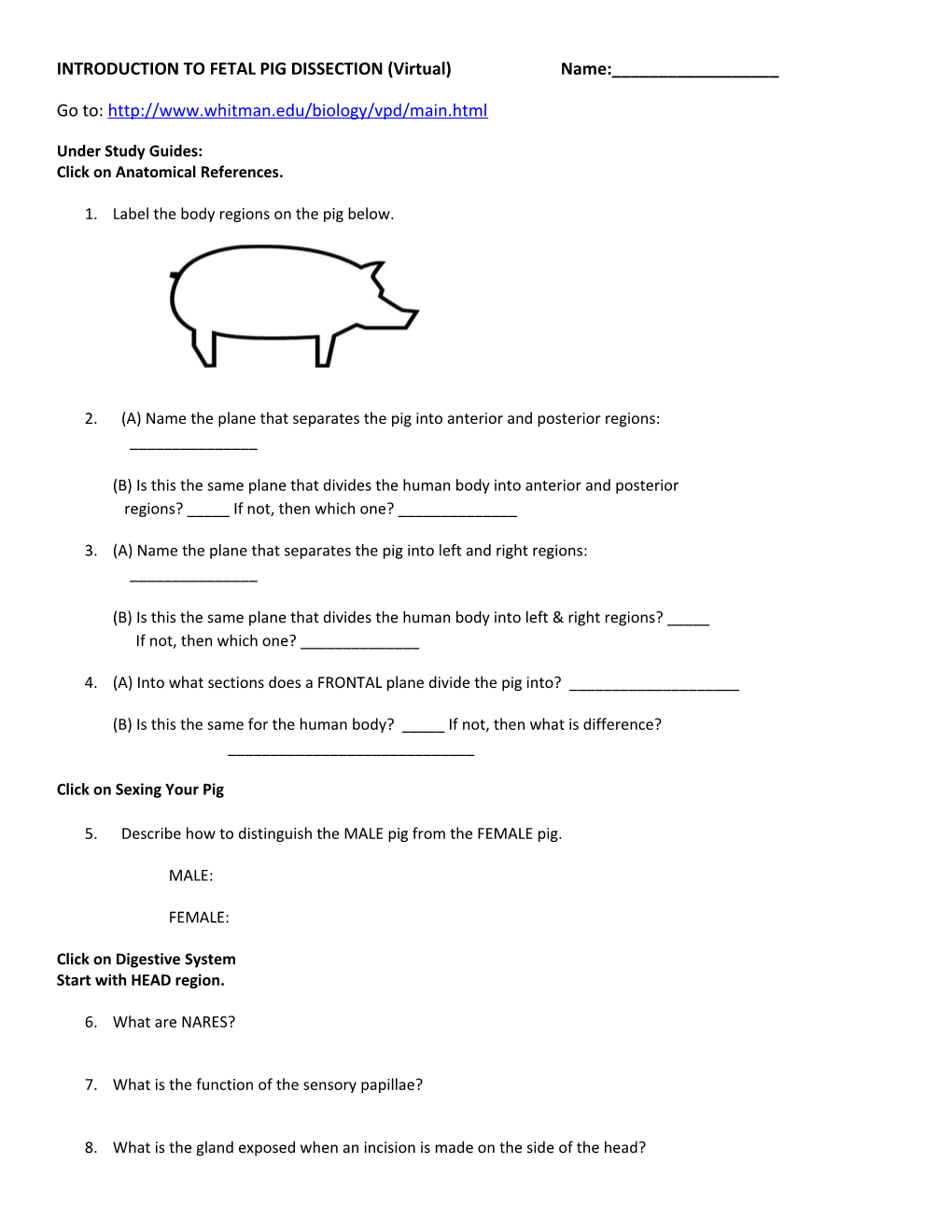 INTRODUCTION to FETAL PIG DISSECTION (Virtual) Name:______