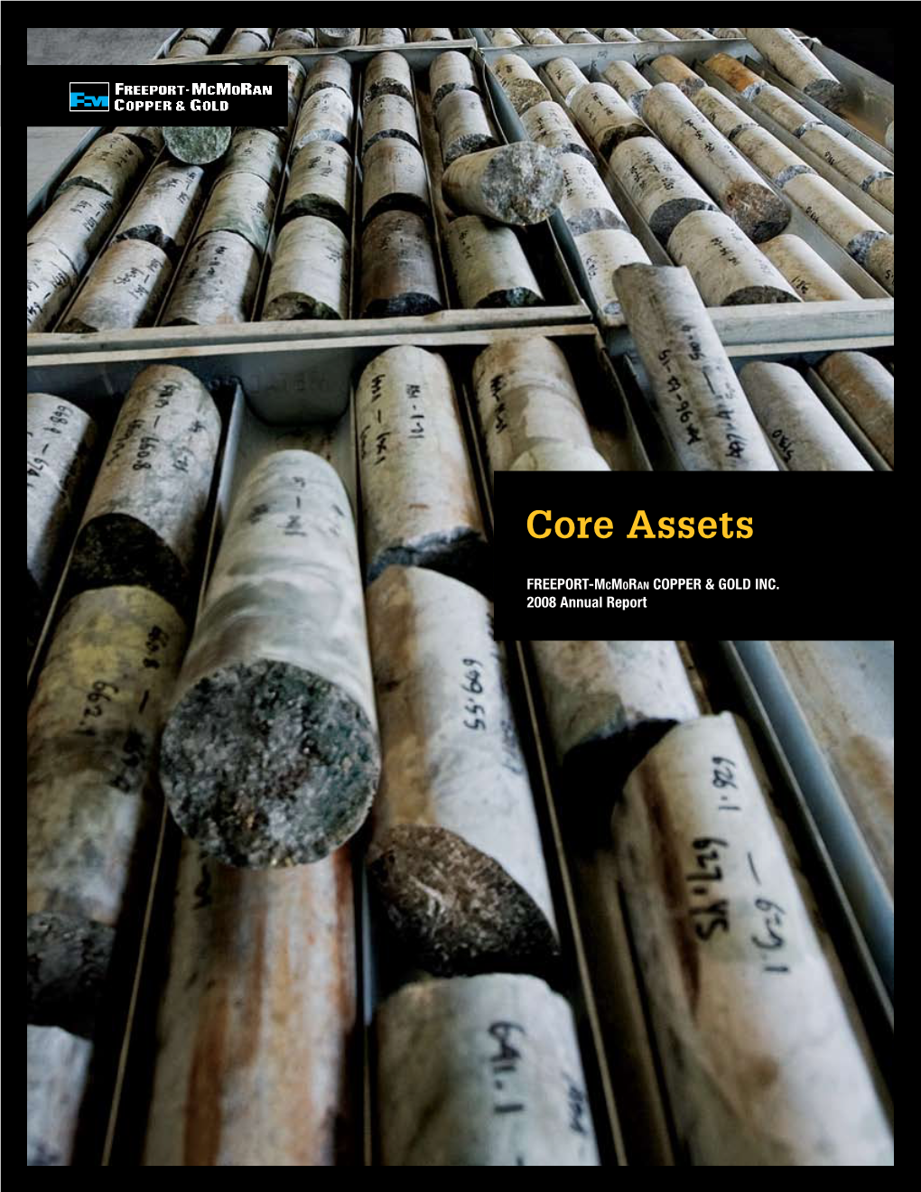 2008 Annual Report Freeport-Mcmoran Copper & Gold Inc