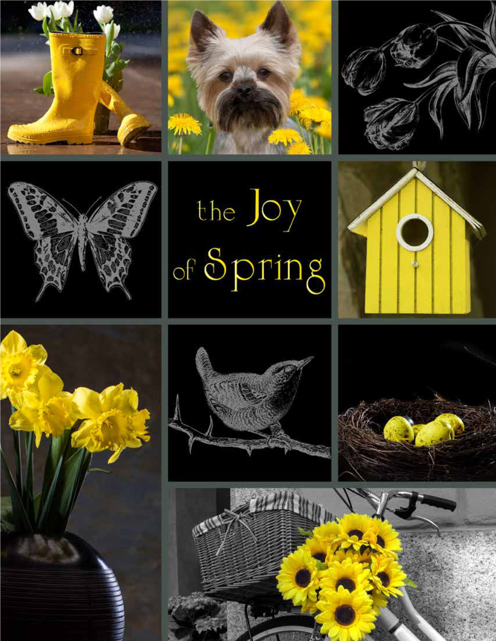 Thejoyofspring.Pdf