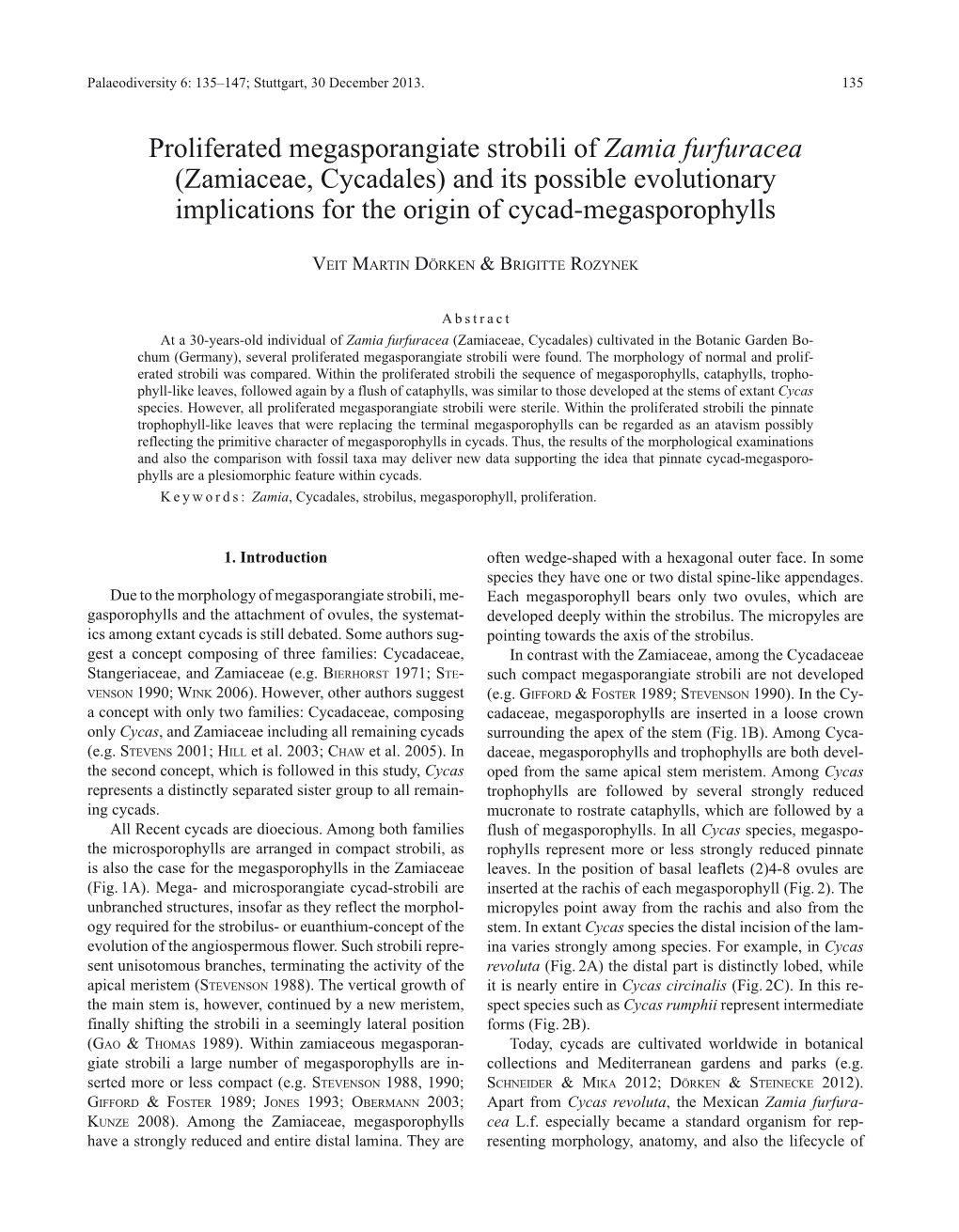 Proliferated Megasporangiate Strobili of Zamia Furfuracea (Zamiaceae, Cycadales) and Its Possible Evolutionary Implications for the Origin of Cycad-Megasporophylls