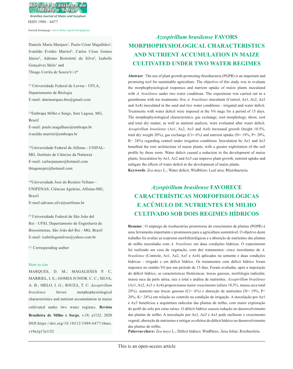 Azospirillum Brasilense FAVORS MORPHOPHYSIOLOGICAL CHARACTERISTICS and NUTRIENT ACCUMULATION in MAIZE CULTIVATED UNDER TWO WATER