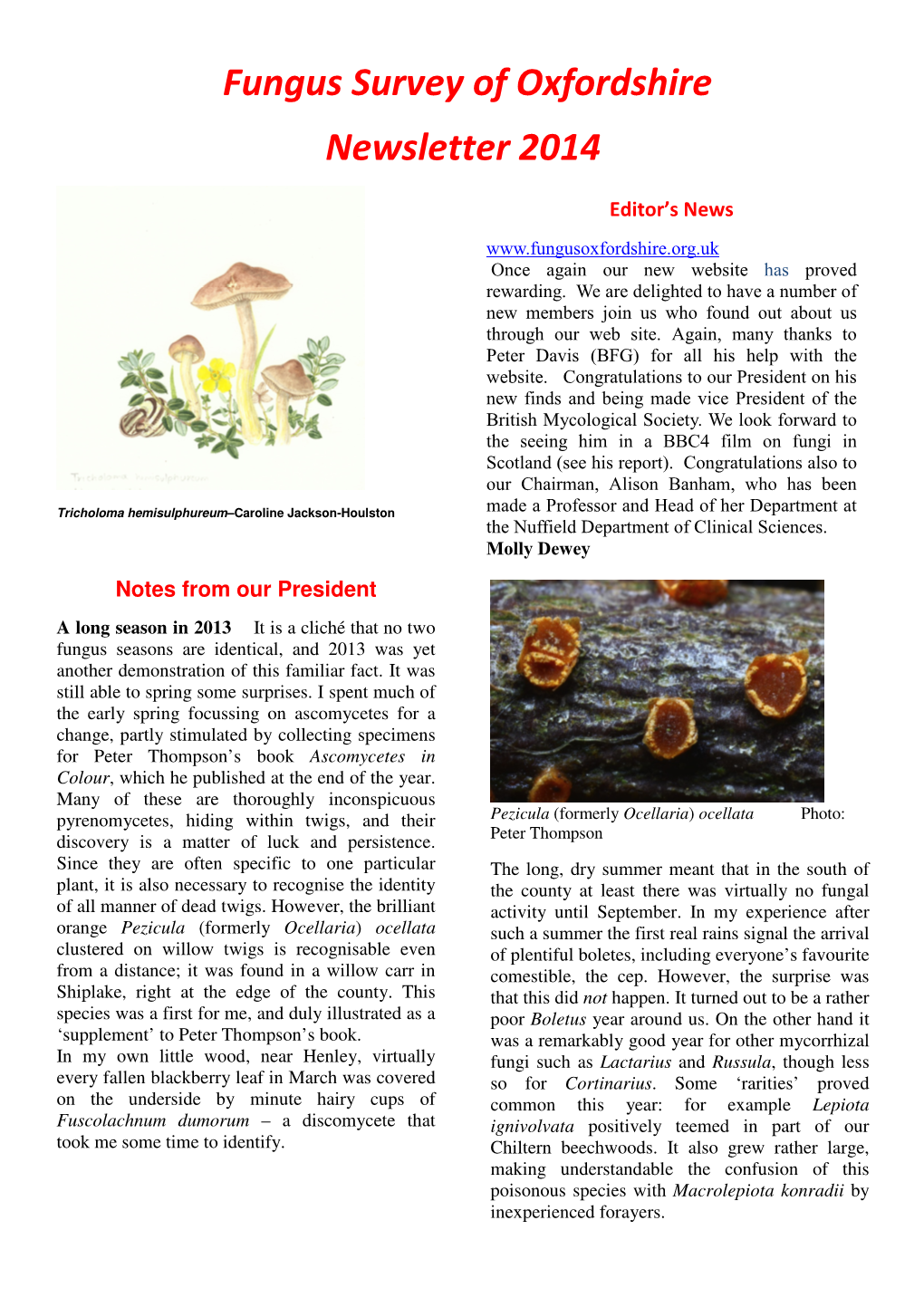 Fungus Survey of Oxfordshire Newsletter 2014