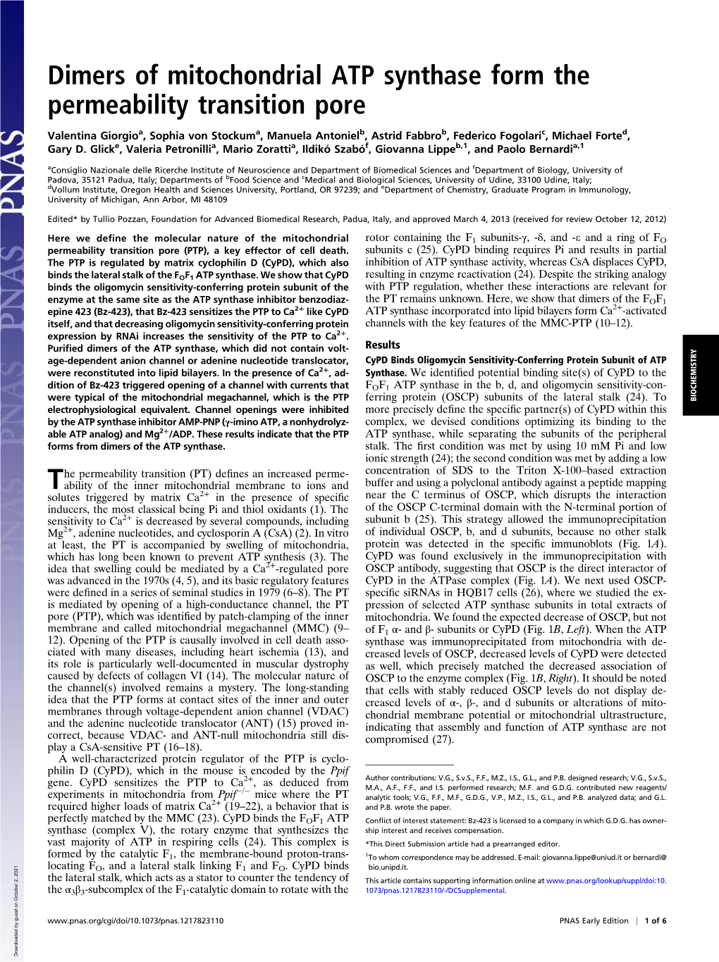 Dimers of Mitochondrial ATP Synthase Form the Permeability Transition Pore