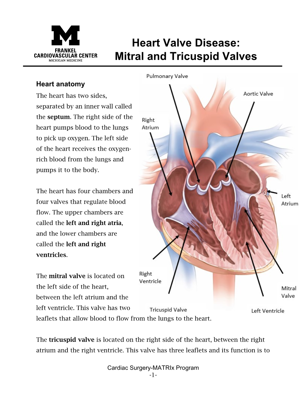 Heart Valve Disease: Mitral and Tricuspid Valves