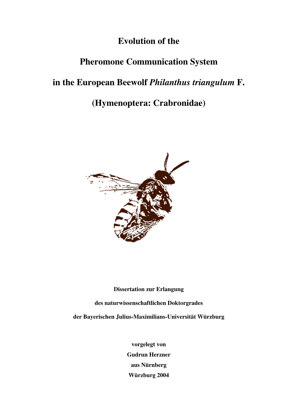 Evolution of the Pheromone Communication in the European Beewolf Philanthus Triangulum (Hymenoptera, Crabronidae)