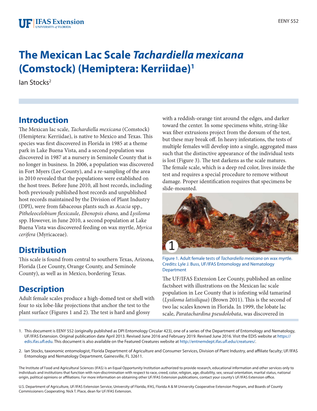 The Mexican Lac Scale Tachardiella Mexicana (Comstock) (Hemiptera: Kerriidae)1 Ian Stocks2