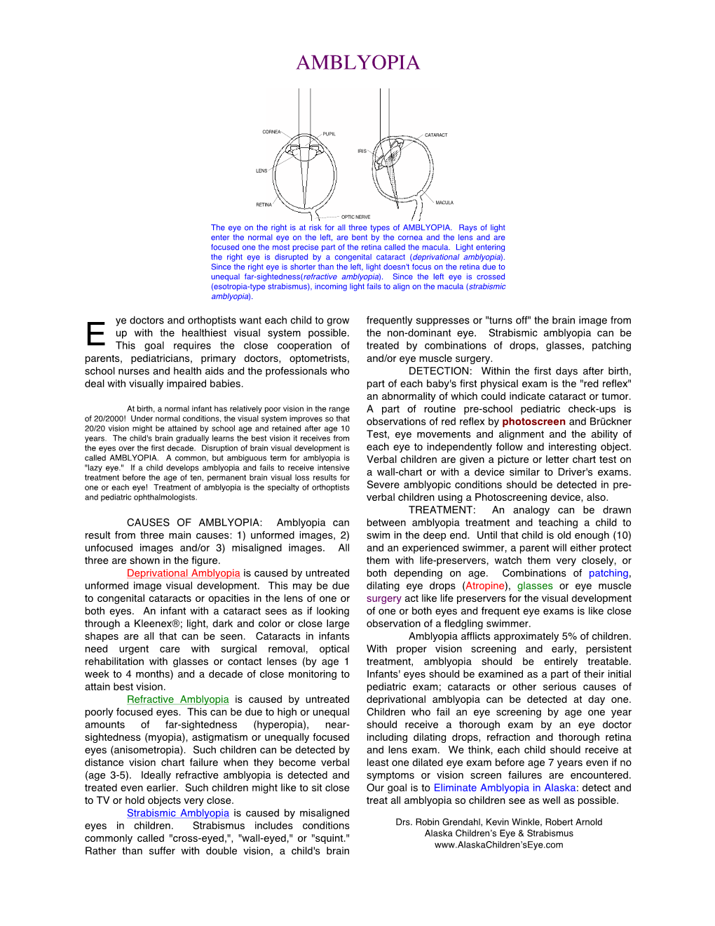 Amblyopia HANDOUT ACES