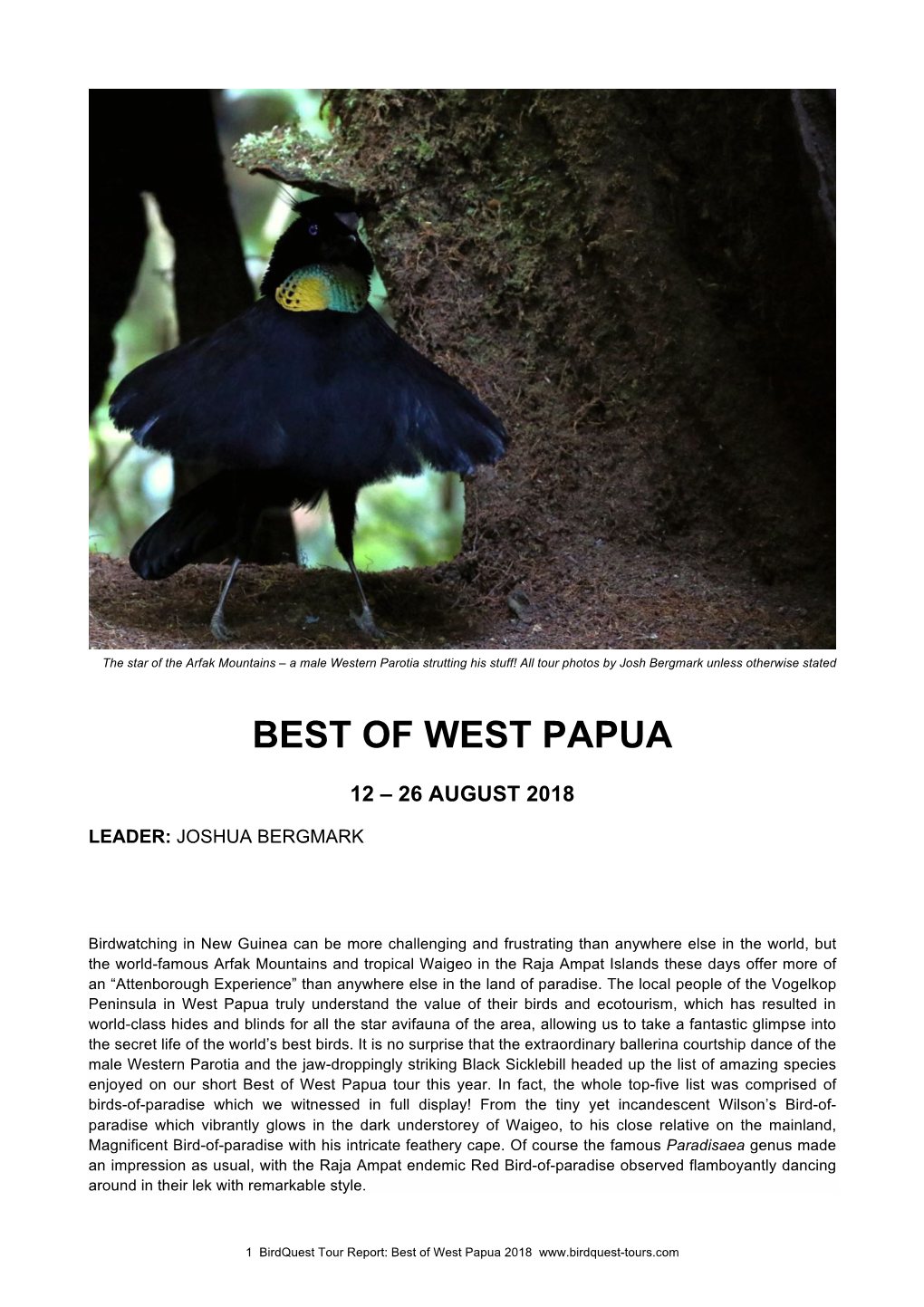Best of West Papua