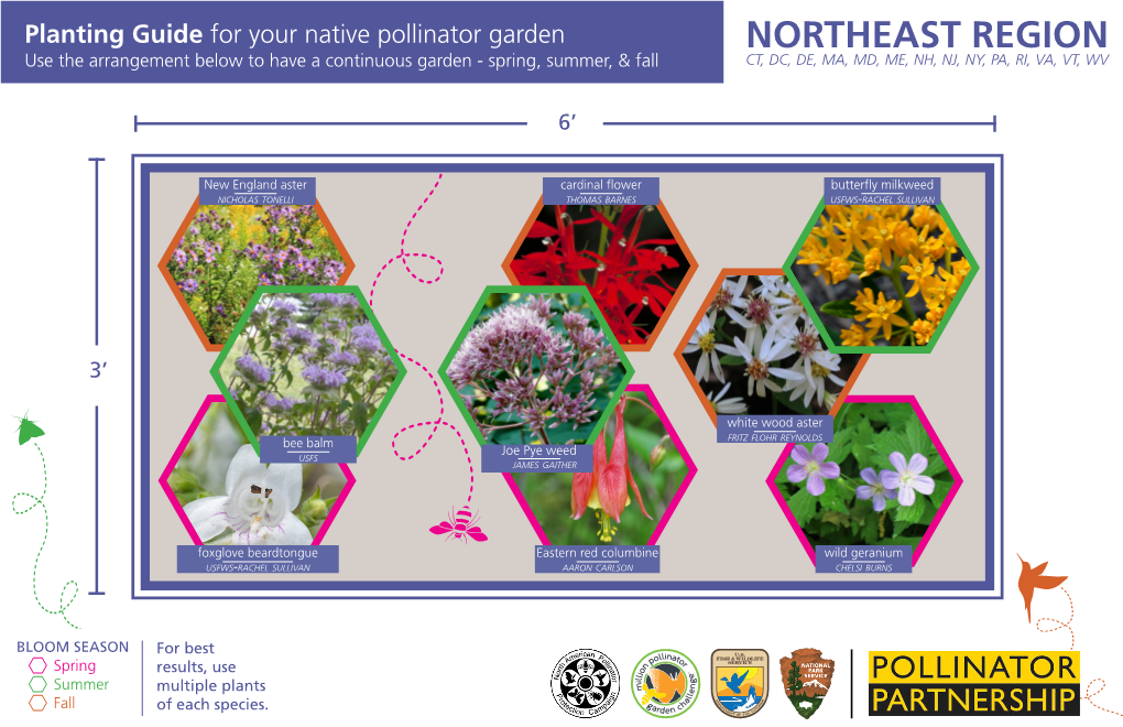 Pollinator Planting Card