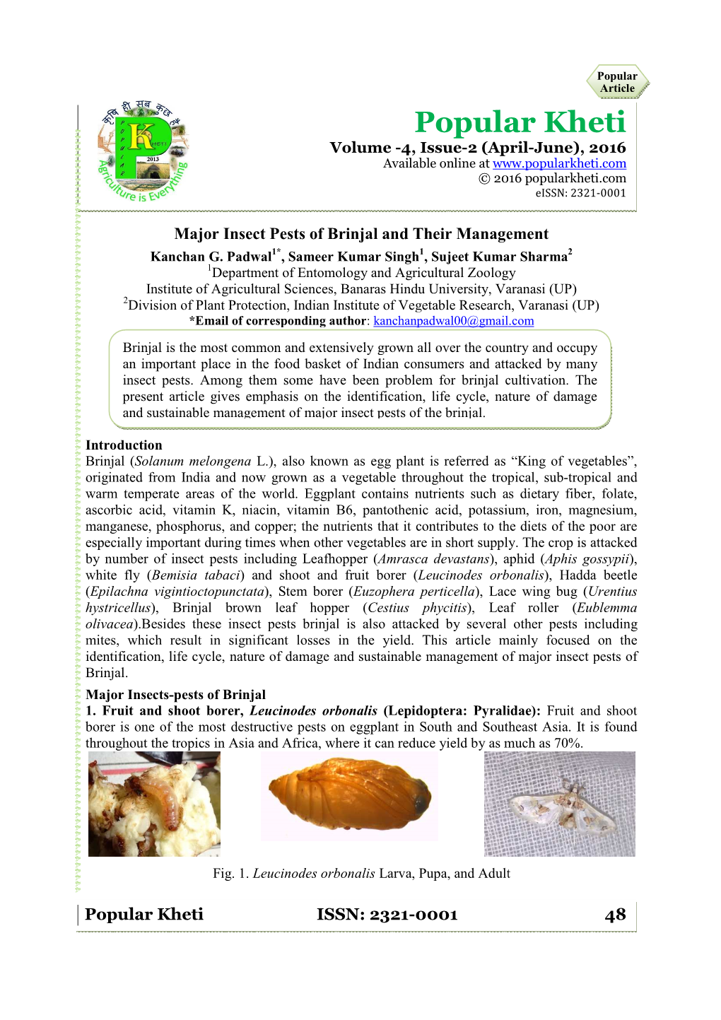 Major Insect Pests of Brinjal and Their Management