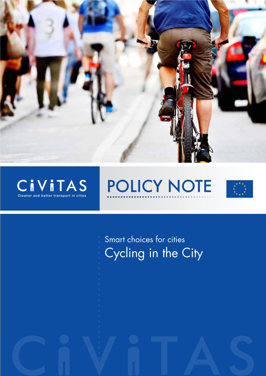 Smart Choices for Cities: Cycling in the City