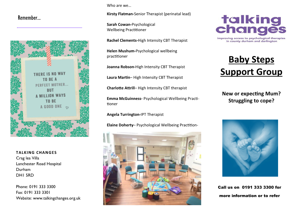 County Durham Baby Steps Leaflet Updated March 2020 for Professionals