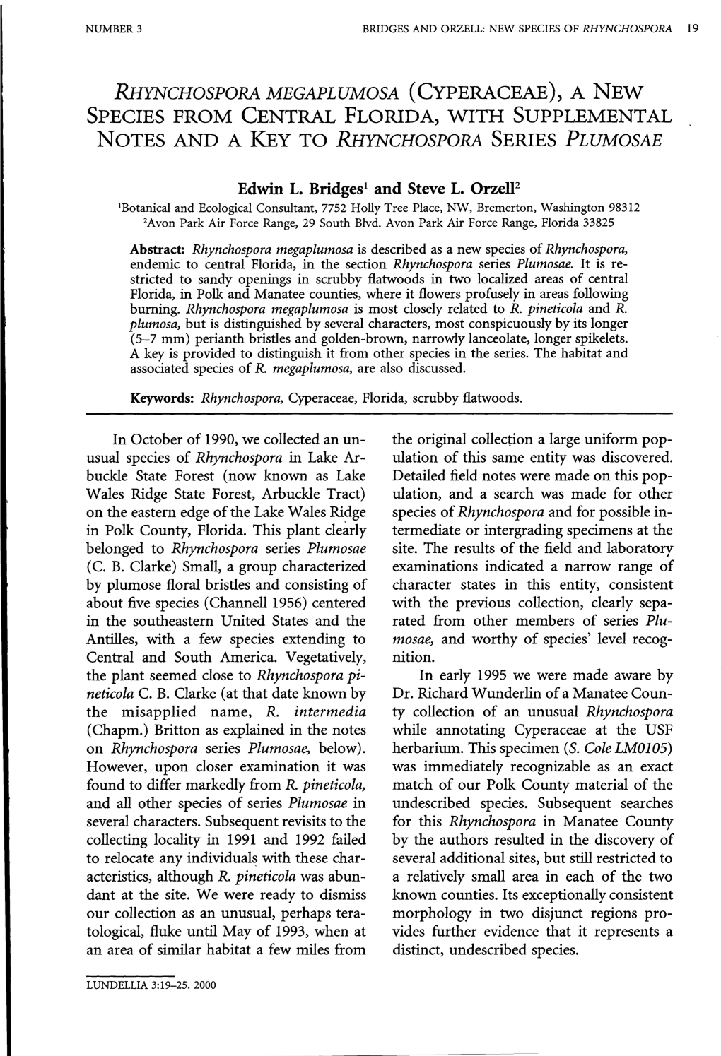 Species from Central Florida, with Supplemental Notes and a Key to Rhynchospora Series Plumosae