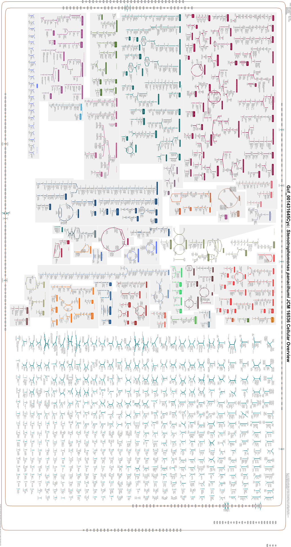 Generated by SRI International Pathway Tools Version 25.0, Authors S